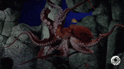 giant pacific octopus tentacles GIF by Monterey Bay Aquarium