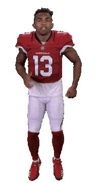 Arizona Cardinals Stickers Sticker by NFL