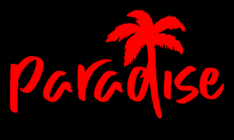 Paradise Rum GIF by dachboard