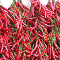 Pot Shut Up GIF by TRT