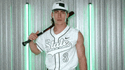 Baseball Nsu GIF by RiverHawk Sports