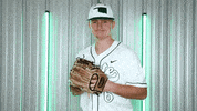 Baseball Nsu GIF by RiverHawk Sports