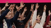 arkansasrazorbacks sports sport basketball college basketball GIF