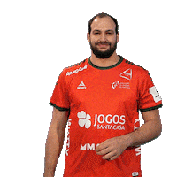 Letsgovamos Sticker by Federação de Andebol de Portugal
