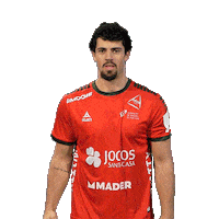 Letsgovamos Sticker by Federação de Andebol de Portugal