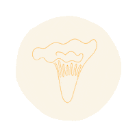Autumn Mushroom Sticker