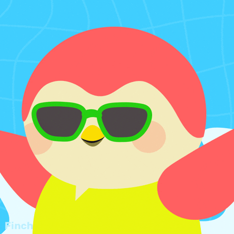 Pool Party Summer GIF by Finch Care