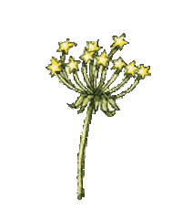 Beauty Flower Sticker by sooryehanofficial