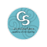 Champions Irish Sticker by Ashling Daly