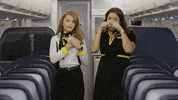 SpiritAirlines fly letsgo spirit spiritairlines GIF
