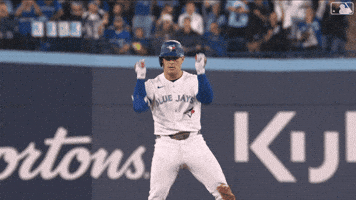 Celebrate Blue Jays GIF by Toronto Blue Jays