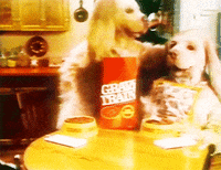 gravy GIF