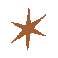 Star Wow Sticker
