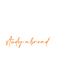 Travel Airplane Sticker by University of Mary