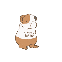 Licht 歩く Sticker