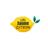 Post Citron Sticker