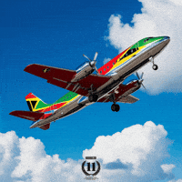Take Off Fly GIF by Nova Sound