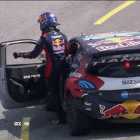 Im Out Game Over GIF by World RX - FIA World Rallycross Championship