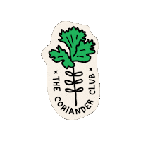 Souperstarsg parsley coriander green leaf souperstar Sticker