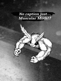 Moth Motte GIF