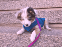 GIF by Juli