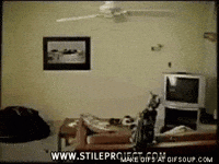 GIF by Demic