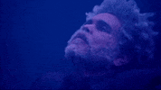 Twitch Livestream GIF by The Weeknd
