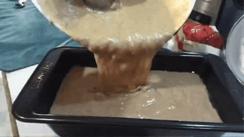 giphy.gif