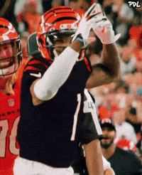 Chase Bengals GIF by The Undroppables