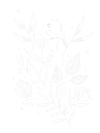 Illustration Wedding Sticker by Lisa Aihara