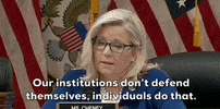 Liz Cheney GIF by GIPHY News