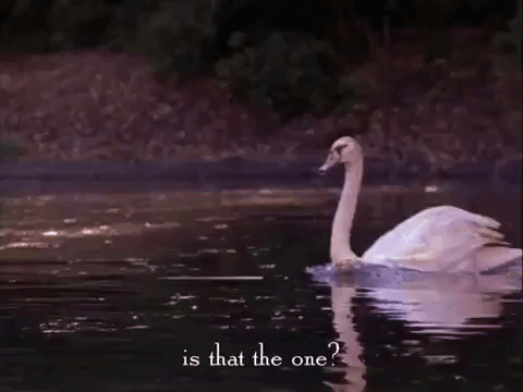 season 3 netflix GIF by Gilmore Girls 