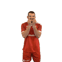 swisshandball_official handball schweiz swiss meister Sticker