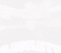 River Gallardo GIF