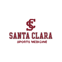 Santa Clara University Go Broncos Sticker by Santa Clara Broncos