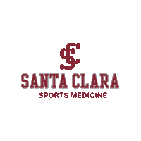 Santa Clara University Go Broncos Sticker by Santa Clara Broncos