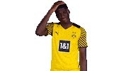 No Way Omg Sticker by Bundesliga