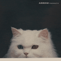 I See You Hello GIF by Arrow Video