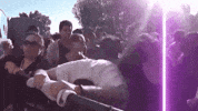 GIF by Giffffr