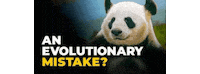Youtube Panda Sticker