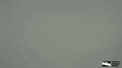 indy 500 hello GIF by Paddock Insider