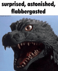 Surprised Shock GIF