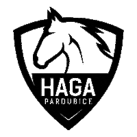 HAGAPardubice florbal haga florbalpardubice hagaspojuje Sticker