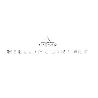 Logo Adidas Sticker by Stella McCartney