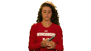 Wisconsin Volleyball Sport Sticker by Wisconsin Badgers