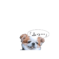 Santa Chihuahua Sticker