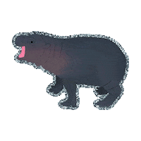pygmy hippo Sticker by Toronto Zoo