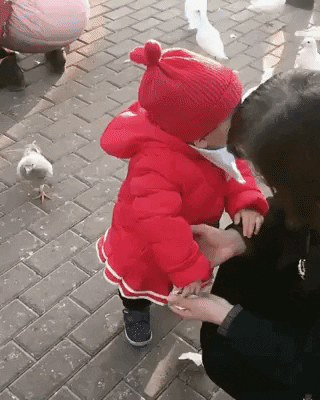 bird asian baby GIF by Danny Chang