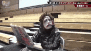 Stardom GIF