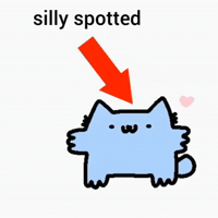 Spainnubcat GIF